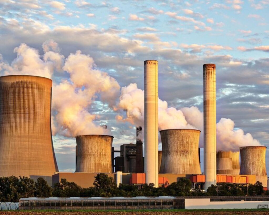 Biodyne South Africa microbial solutions for agriculture, bioremediation, wastewater, solid waste, and mining